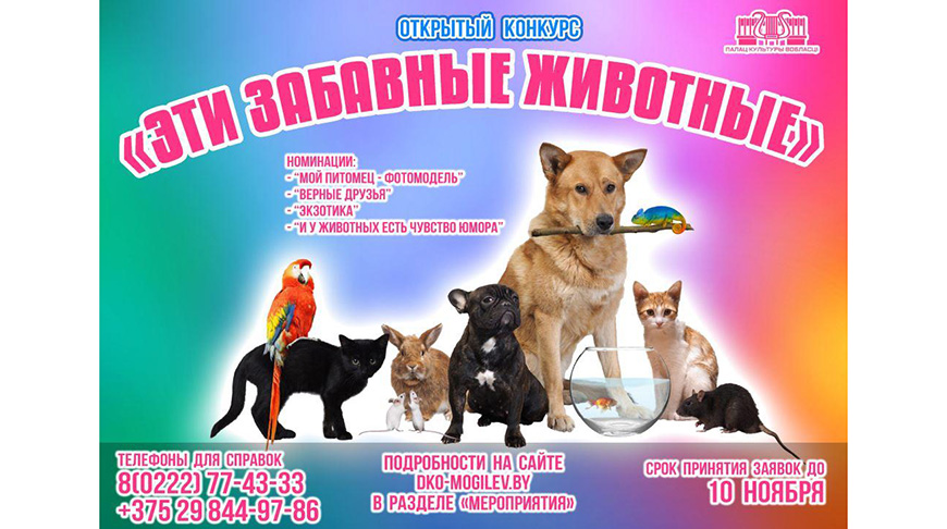 Январь 2009 года