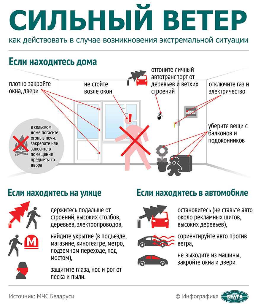 МЧС напомнило правила безопасности при сильном ветре