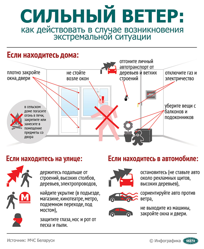 ГАИ рекомендует парковать авто вдали от деревьев и слабо укрепленных  конструкций