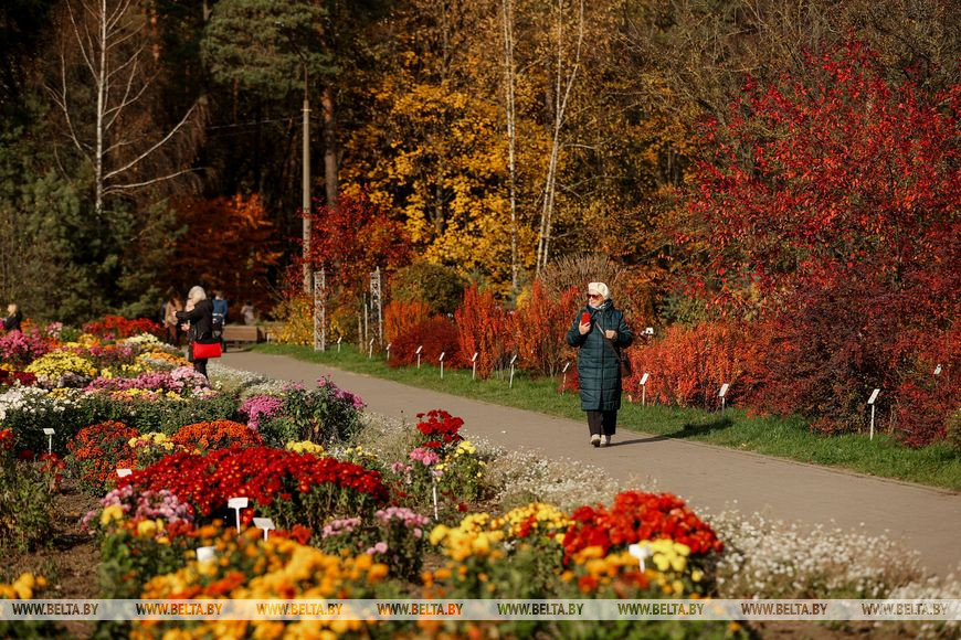 Центральный ботанический сад в Минске