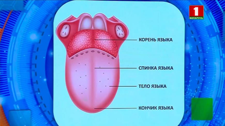 Рак языка: симптомы, стадии, лечение, прогноз. Все, что нужно знать пациентам