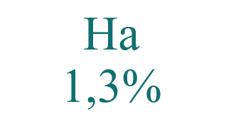 ВВП Беларуси в 2025 году вырос на 1,3%