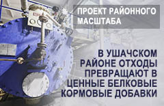Проект районного масштаба
