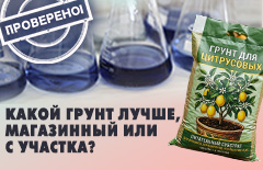 Проект. Проверено!