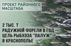 Проект районного масштба