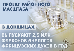 Проект районного масштаба
