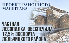 Проект районного масштба