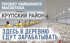 Проект районного масштаба