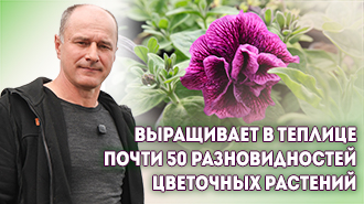 Белорусы в кадре