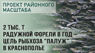 Проект районного масштаба