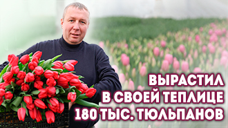 Белорусы в кадре