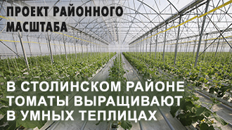 Проект районного масштаба