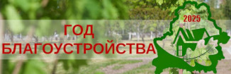 ГОД БЛАГОУСТРОЙСТВА