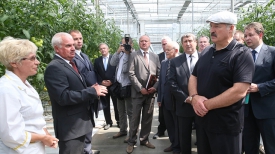 Александр Лукашенко во время посещения КУП &quot;Минская овощная фабрика&quot;