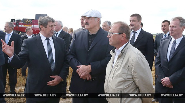 Александр Лукашенко на поле озимой пшеницы КУП "Минская овощная фабрика"