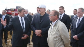 Александр Лукашенко на поле озимой пшеницы КУП &quot;Минская овощная фабрика&quot;