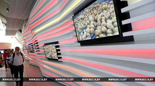 Павильон Беларуси на всемирной выставке "ЭКСПО-2015" в Милане