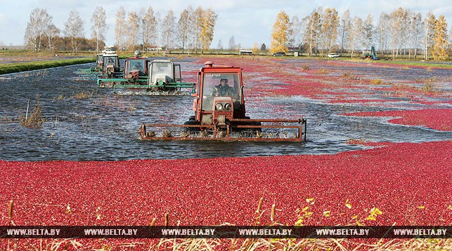 Фото из архива