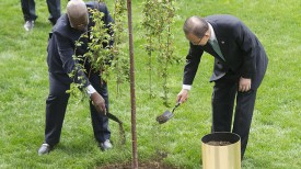 Пан Ги Мун и Сэм Кутеса садят &quot;Дерево мира и единства&quot;. Фото с сайта un.org