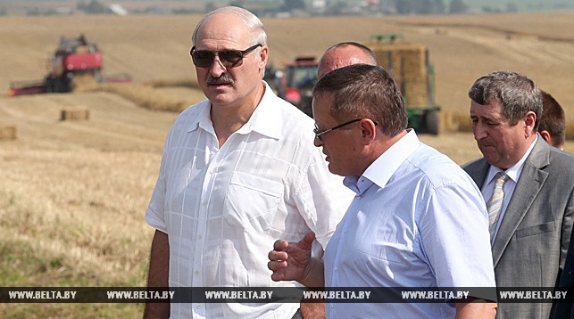 Александр Лукашенко на полях крестьянского фермерского хозяйства "Цнянские экопродукты"