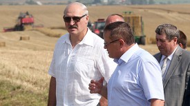Александр Лукашенко на полях крестьянского фермерского хозяйства &quot;Цнянские экопродукты&quot;