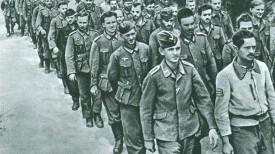 Захваченные в плен под Смоленском немцы