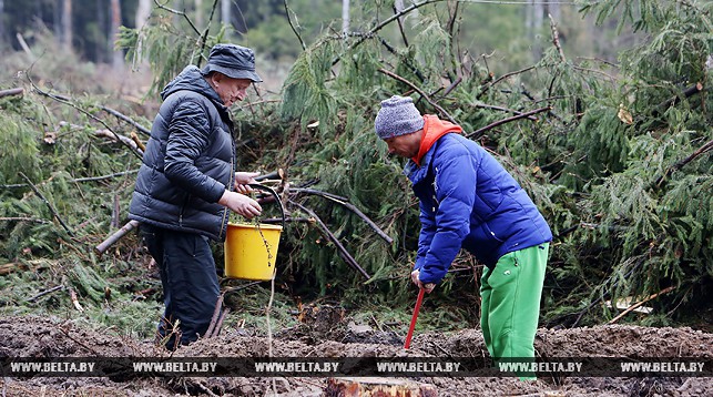 Дмитрий Дащинский (справа) во время акции "Неделя леса -2015". Фото из архива