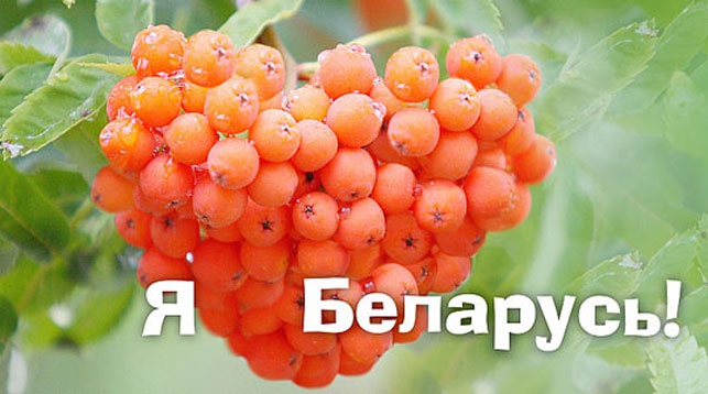 Плакат БЕЛТА из серии "Я люблю Беларусь"