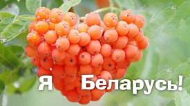Плакат БЕЛТА из серии &quot;Я люблю Беларусь&quot;