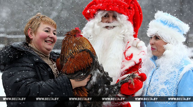 Жительница деревни Азино Полоцкого района Марина Костык знакомит Деда Мороза и Снегурочку с символом 2017 года