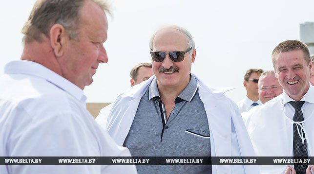 Александр Лукашенко во время посещения молочно-товарной фермы "Квасевичи" в Ивацевичском районе