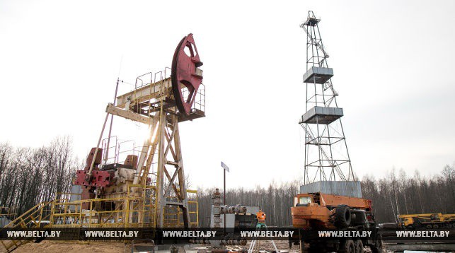 Новое Восточно-Макановичское нефтяное месторождение в Речицком районе