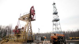 Новое Восточно-Макановичское нефтяное месторождение в Речицком районе