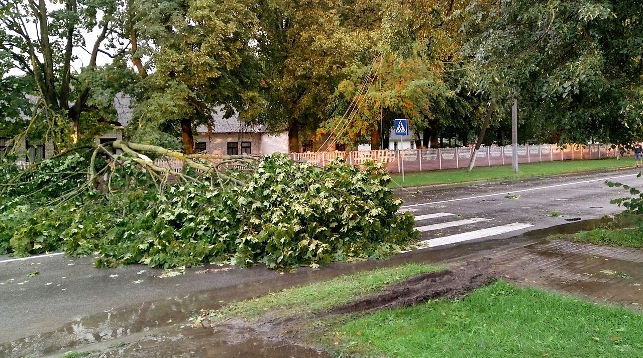 Последствия грозы в Пружанах. Фото из социальных сетей