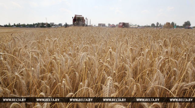 Фото из архива