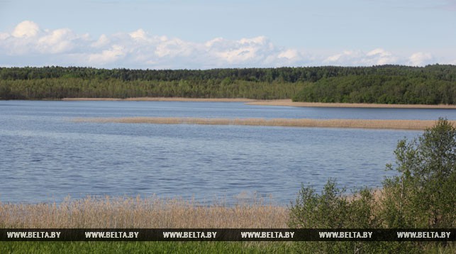 Озеро Дривяты. Фото из архива