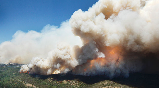 Лесной пожар в штате Юта. Фото AP