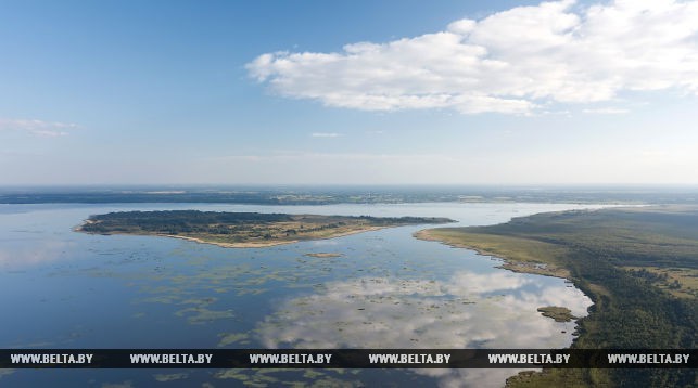 Освейское озеро (Витебская область)