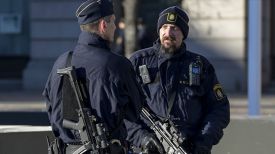 Полиция Швеции. Фото AFP
