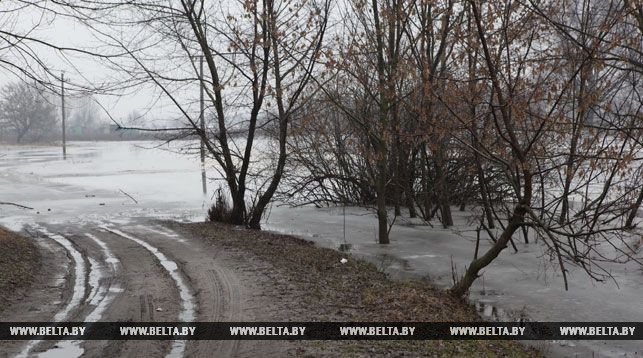 Подтопления в районе улицы Метизников в Речице