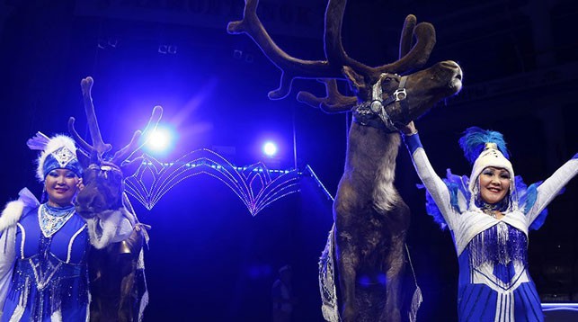 Фото из Vk-аккаунта Бриллиантовый цирк России Тепло Вечной Мерзлоты