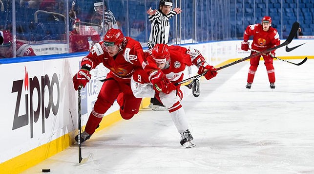 Во время матча Беларусь - Дания. Фото IIHF