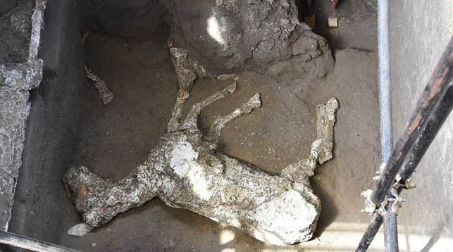 Фото Parco Archeologico di Pompei
