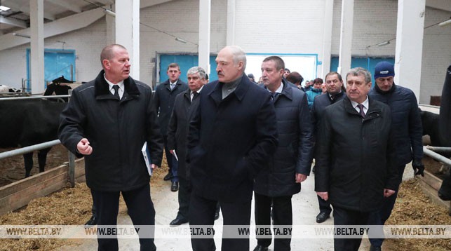 Александр Лукашенко во время посещения молочно-товарного комплекса "Слижи"