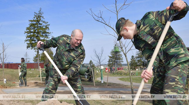 Александр Лукашенко принял участие в посадке деревьев на территории историко-культурного комплекса "Линия Сталина"