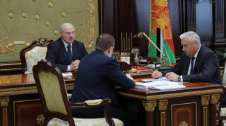 Александр Лукашенко, Александр Турчин и Владимир Дворник