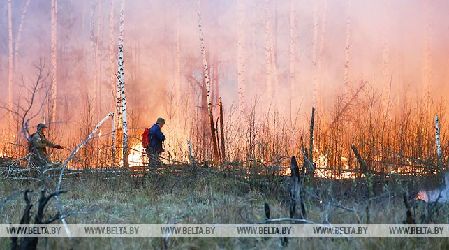 Во время тушения пожара на Ольманских болотах. Фото из архива