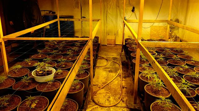 Фото УВД Витебского облисполкома