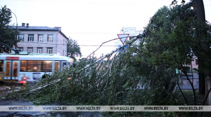 Фото из архива