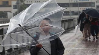 Во время тайфуна &quot;Хагибис&quot;. Фото ТАСС